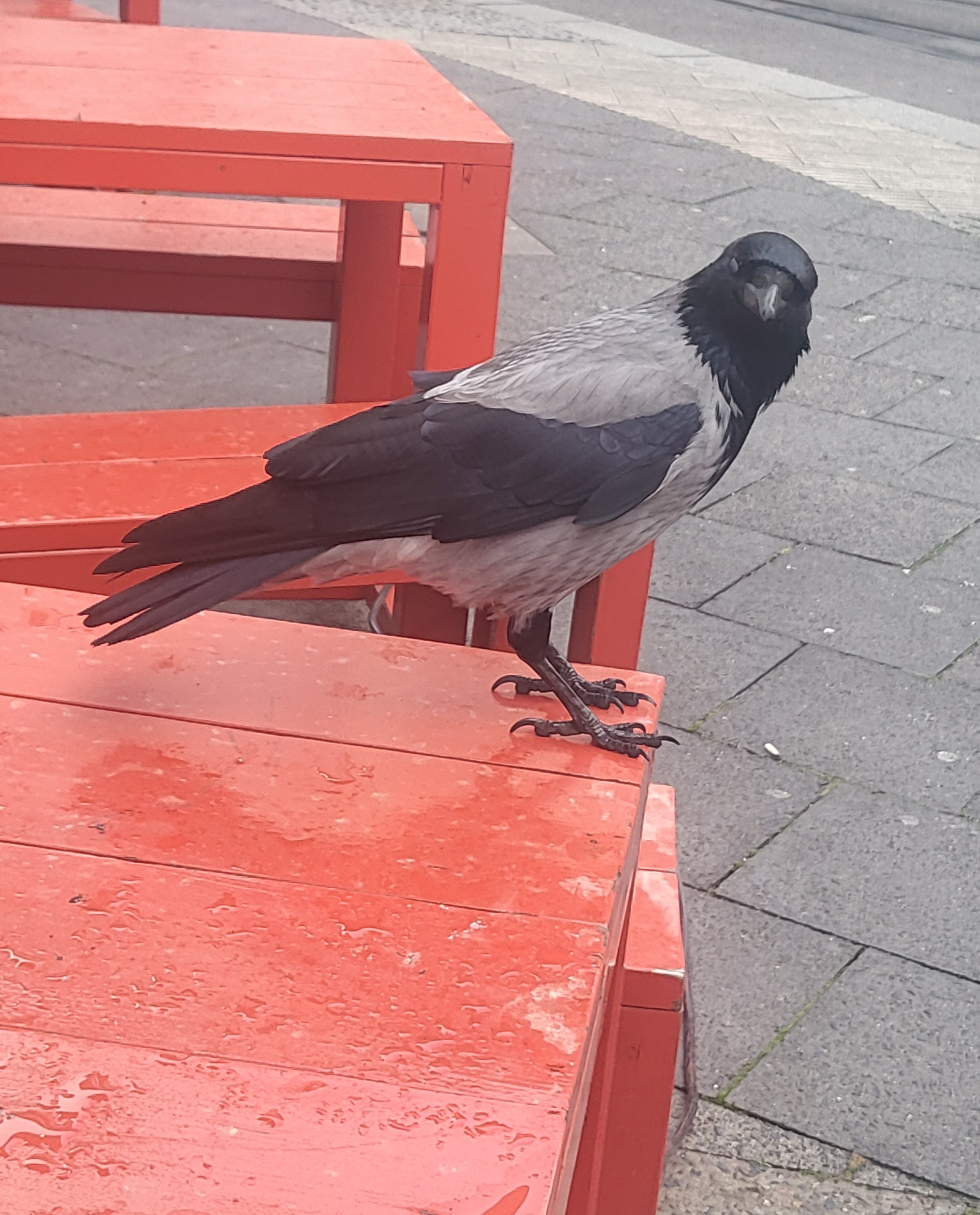 20251118_093524 2.jpg