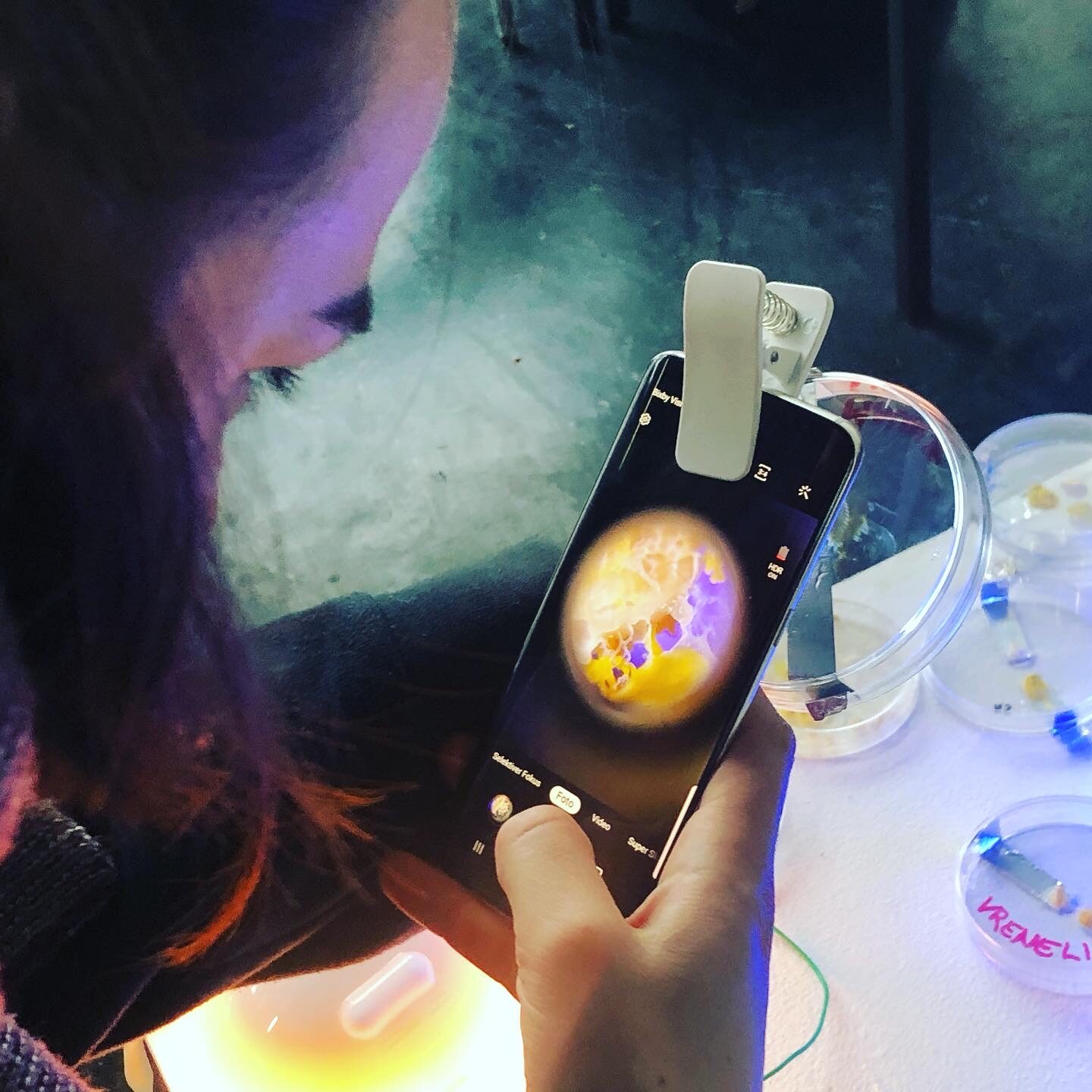 A participant photographing glowing slime mould through a phone macro lens, with electrode-wired petri dishes on the table.