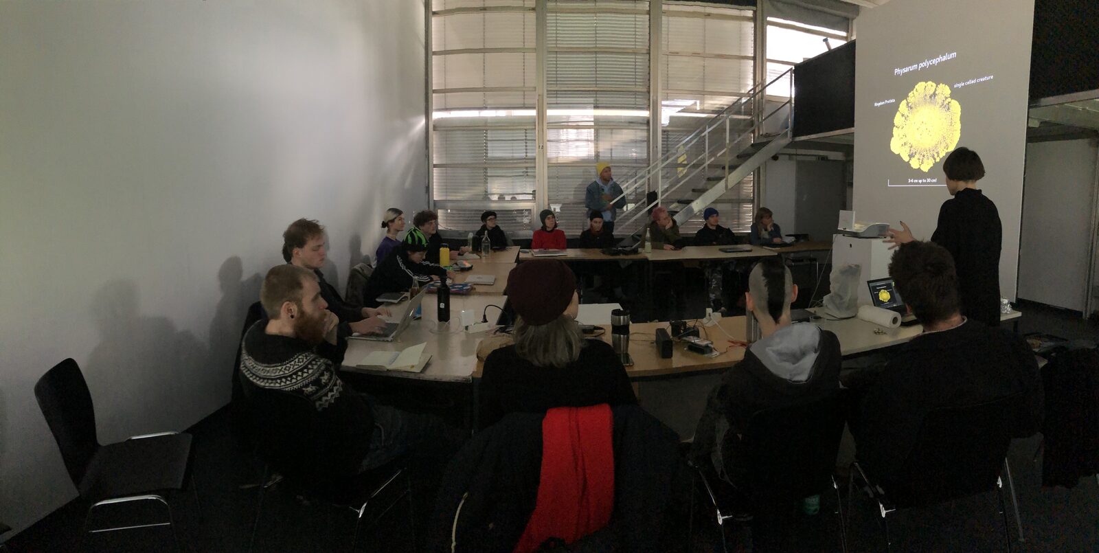 A workshop room of seated participants facing a projection of Physarum polycephalum.