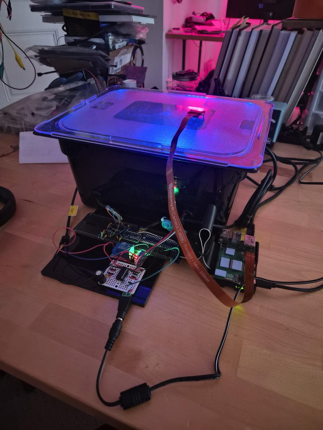 A black enclosure with a blue-lit lid, a ribbon camera cable running to a Raspberry Pi, and a breadboard of control circuitry in front.